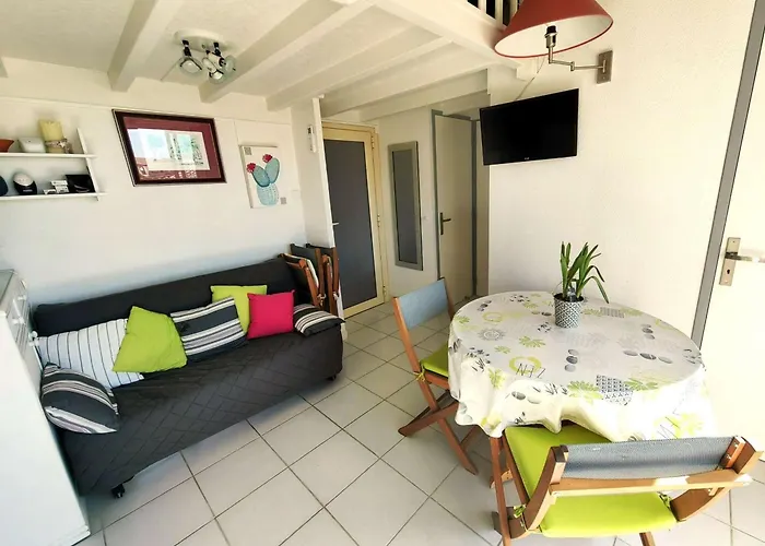 Splendide T2 Climatise A 50m De La Avec Piscine Et Parking - Fr-1-607-97 Agde